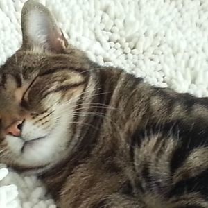 Meet your Posher, Monika